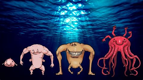 blobfish evolution|blobfish evolution online.